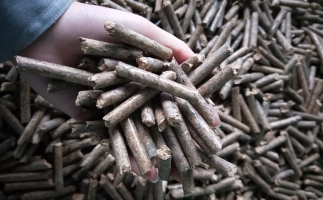 鋸末顆粒機(jī)顆粒，一種快速增長的能源載體