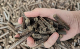 木屑燃料顆粒熱值多少大卡，完全取決于燃料的原料